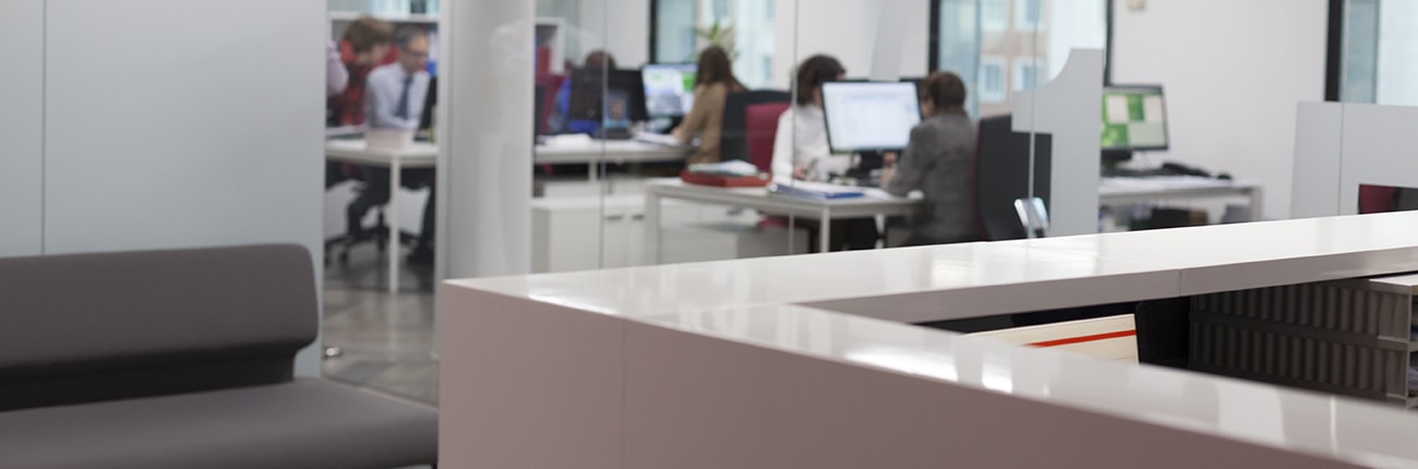 Arrabe Integra asesores de empresa - Areas