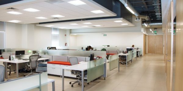 Cómo reincorporar la actividad de mi empresa Cómo reincorporar la actividad de mi empresa