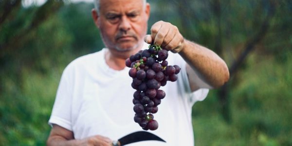 Early retirement and the relief contract