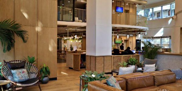 What are emerging companies or "startups"?