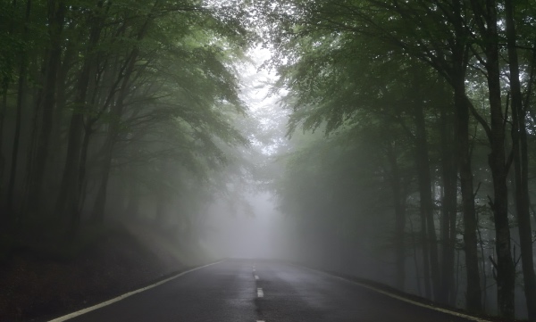 Medidas fiscales del RDL 15/2020