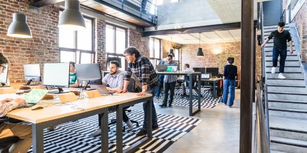 Nueva ley de Startups 2023