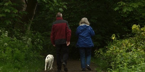 Pension reform of 2021