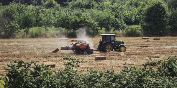 Salario Mínimo 2023 en España