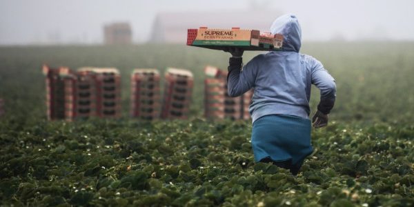 Salario Mínimo Interprofesional 2022